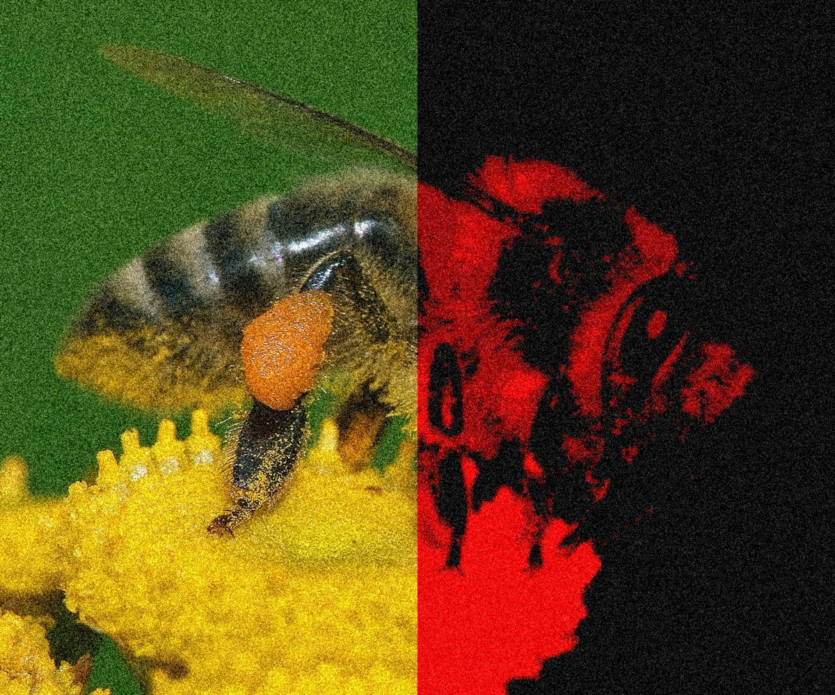 004 Cover