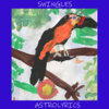 Astrolyrics