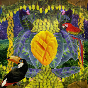 SAFARI INFINITE MANGO cover