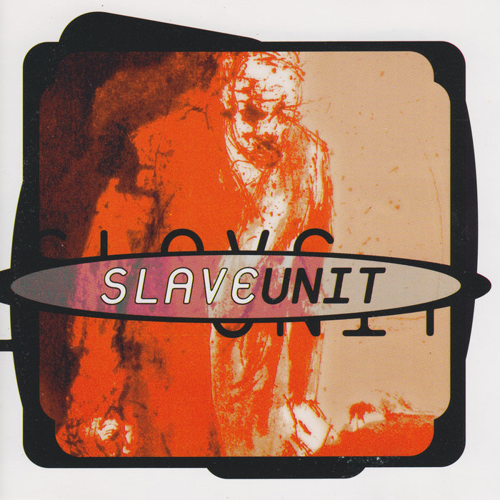 Slave Unit Slave Unit