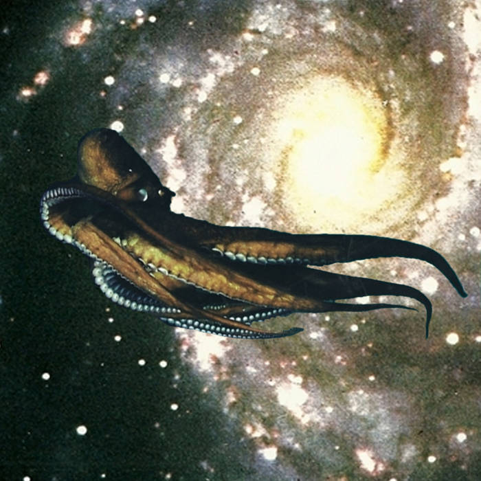 Octopus | Cult Cosmos