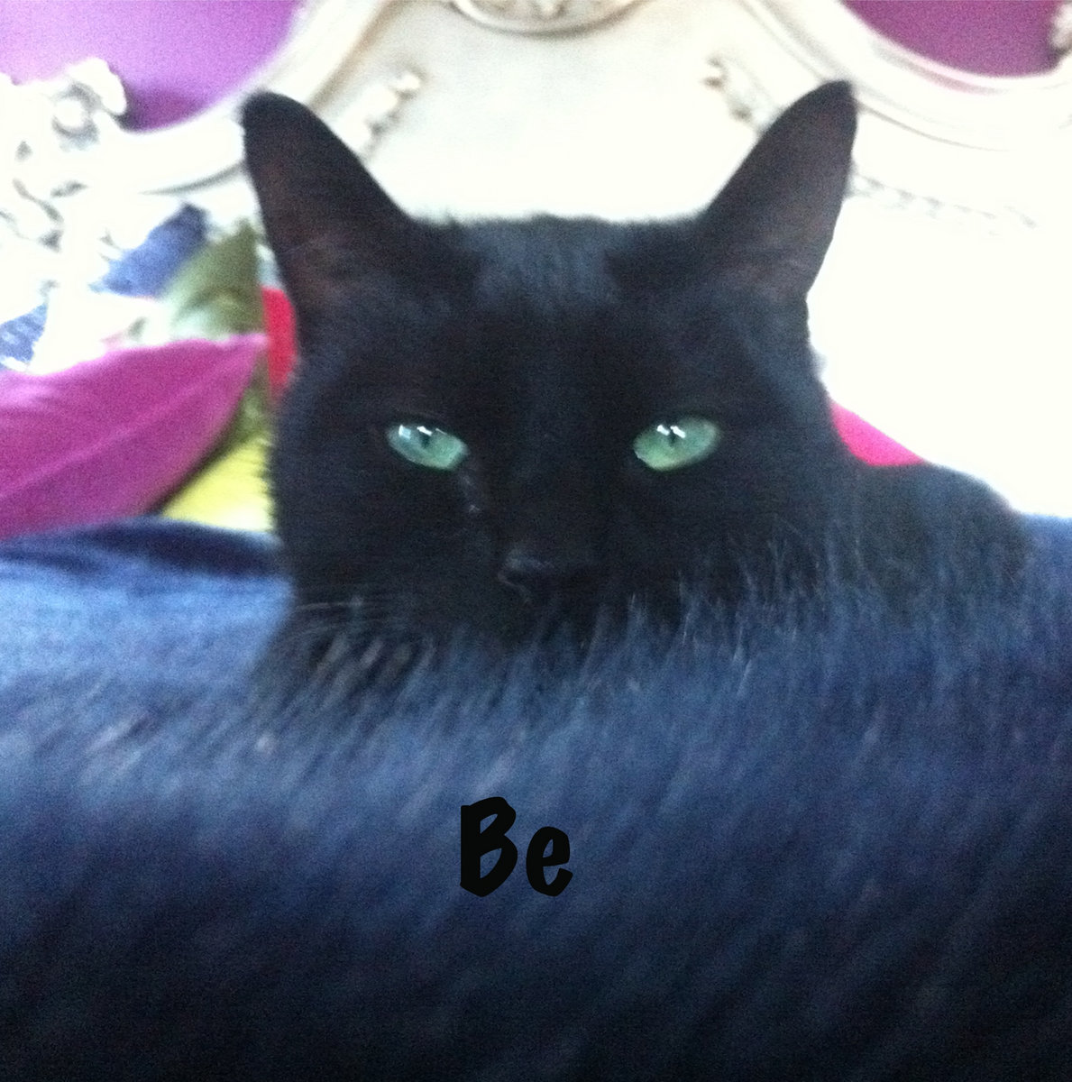 Be cover