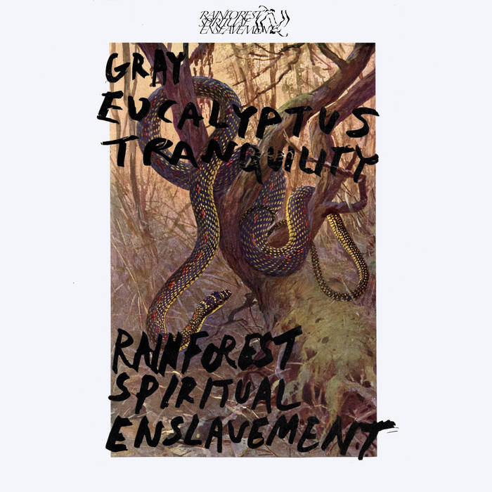Gray Eucalyptus Tranquility | Rainforest Spiritual Enslavement