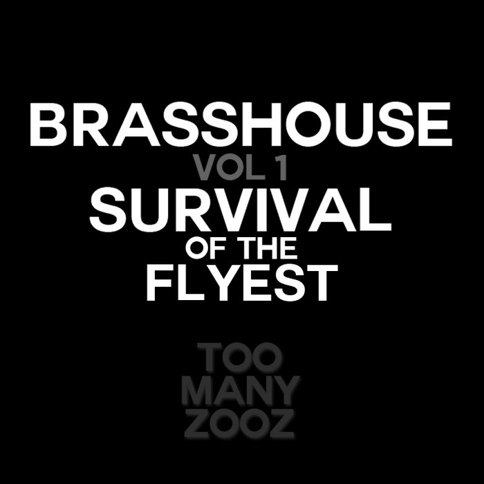 邦楽 dustbox / Treasures In The Mosh Pit □dustbox NEW DVD『Treasures In The Mosh Pit』 - YouTube