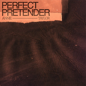 Perfect Pretender cover
