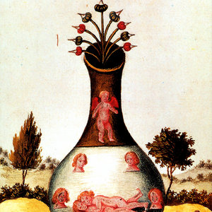 Visqueen — Alembic Preamble