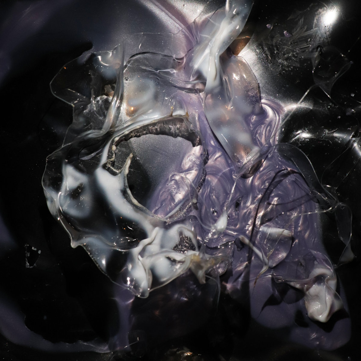 A MAGAZINE #6　CURATED BY 　ヴェロニク・ブランキーノ MCVA006] - Various Artists | Various Artists | Maison Close