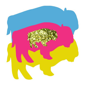 Buffalo/Starfish 7" Single (on lovely pink vinyl) cover