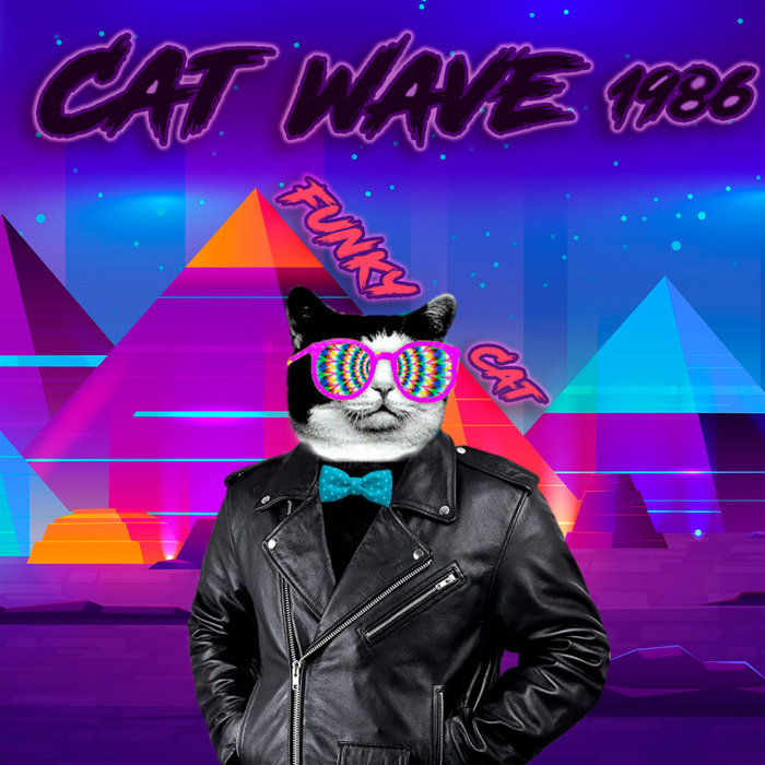 人気便利グッズ Funky Cat | CatWAVE 1986 猫