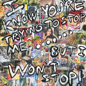 I KNOW YOU'RE TRYING TO STOP ME...BUT I WON'T STOP! cover