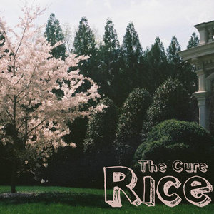 The Cure cover