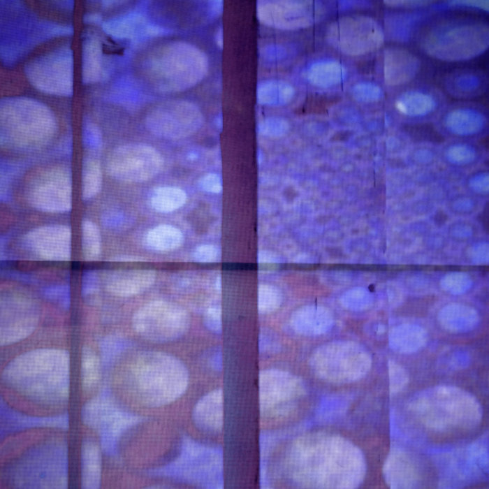 silverspaceprobe vostok 1