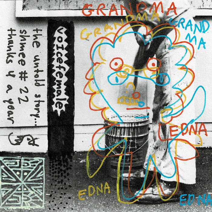 SHMEE STRADMAN visual data 2