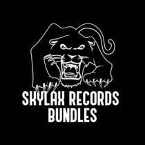 SKYLAX RECORDS BUNDLES BANDCAMP EXCLUSIVE cover art
