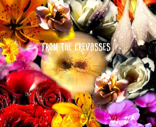 Flowers On Venus From The Crevasses