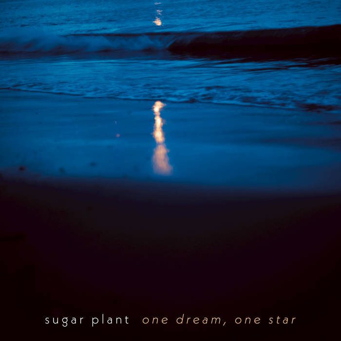 one dream, one star | sugar plant
