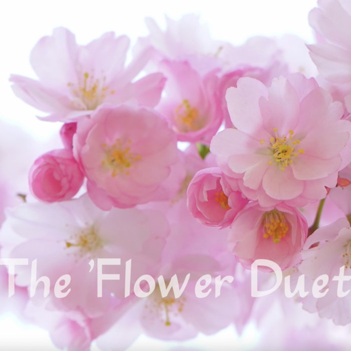 The Flower Duet Susan T. Mashiyama