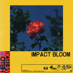 Impact Bloom cover