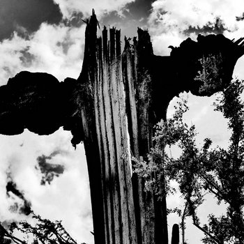 Music | Fear Falls Burning