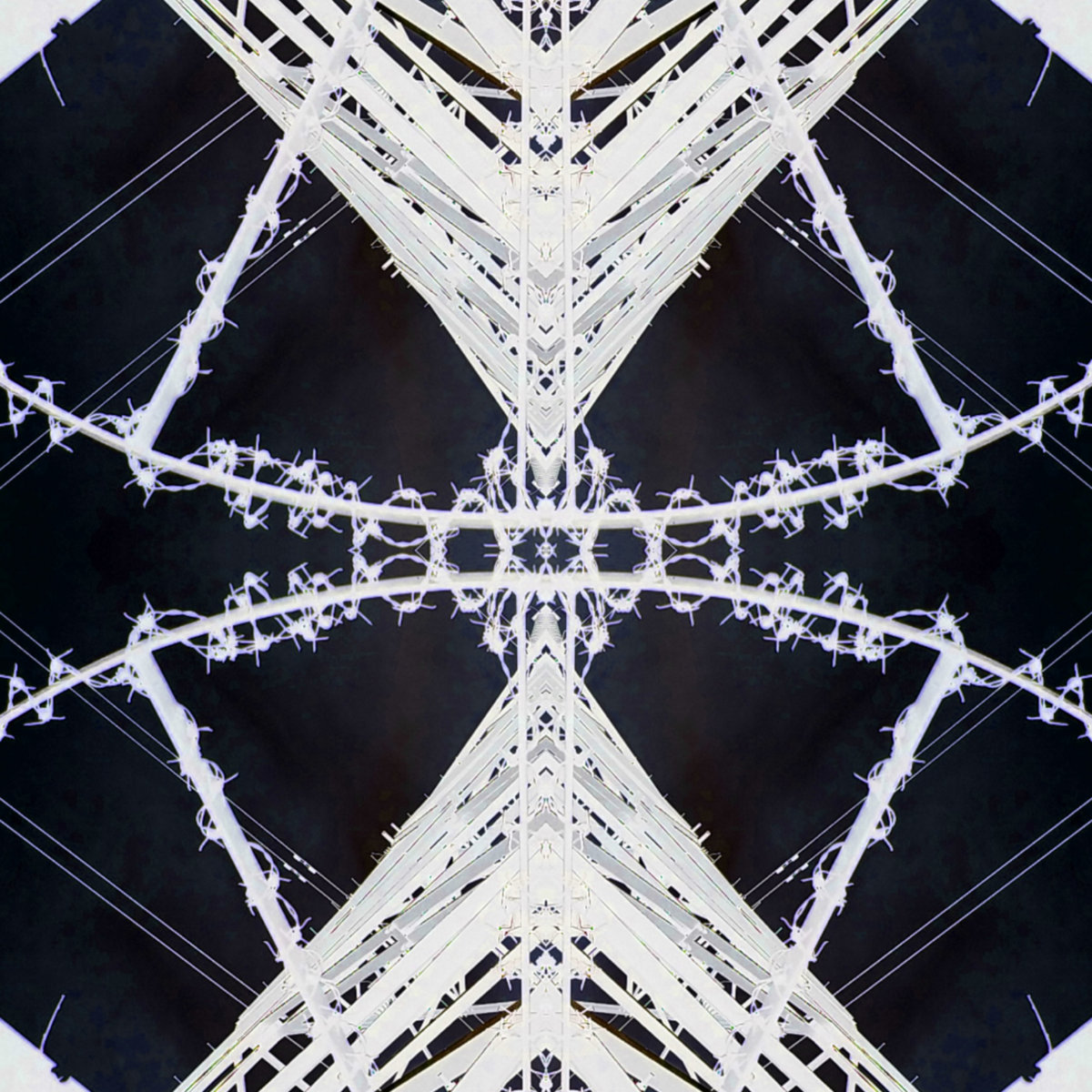 Phill Niblock＋Eliane Radigue(Utisnemoさん） Phill Niblock＋Eliane Radigue(Utisnemoさん）