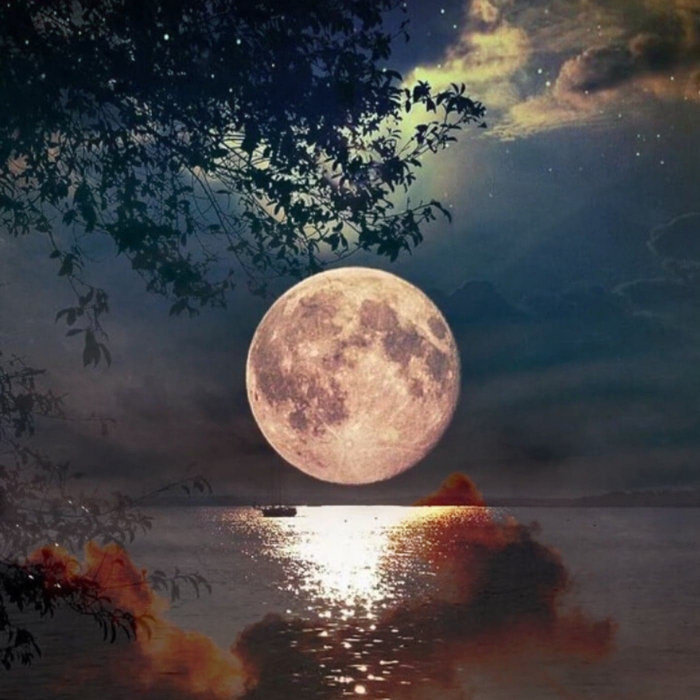 『 In the moonlight 』原画B3size Moonlight - YouTube