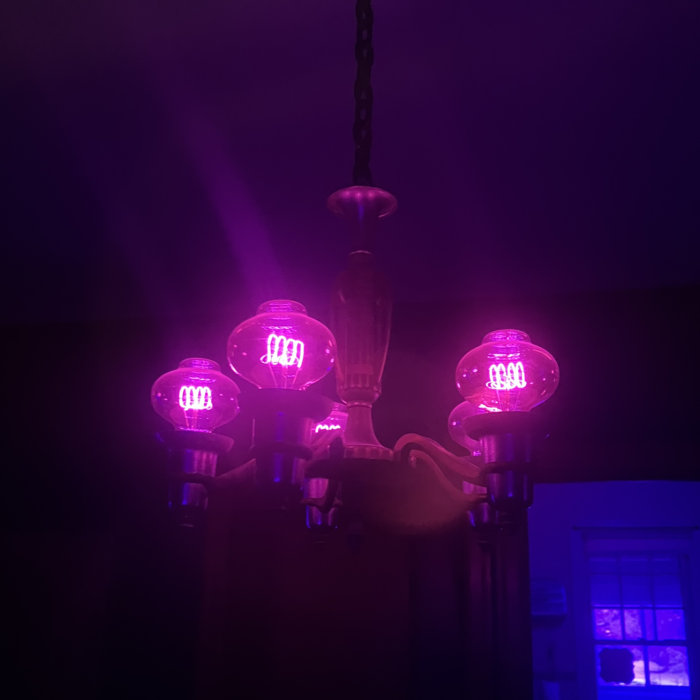 Port of Call Spectral Glide