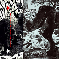 split w/ PAIN CHAIN cover art