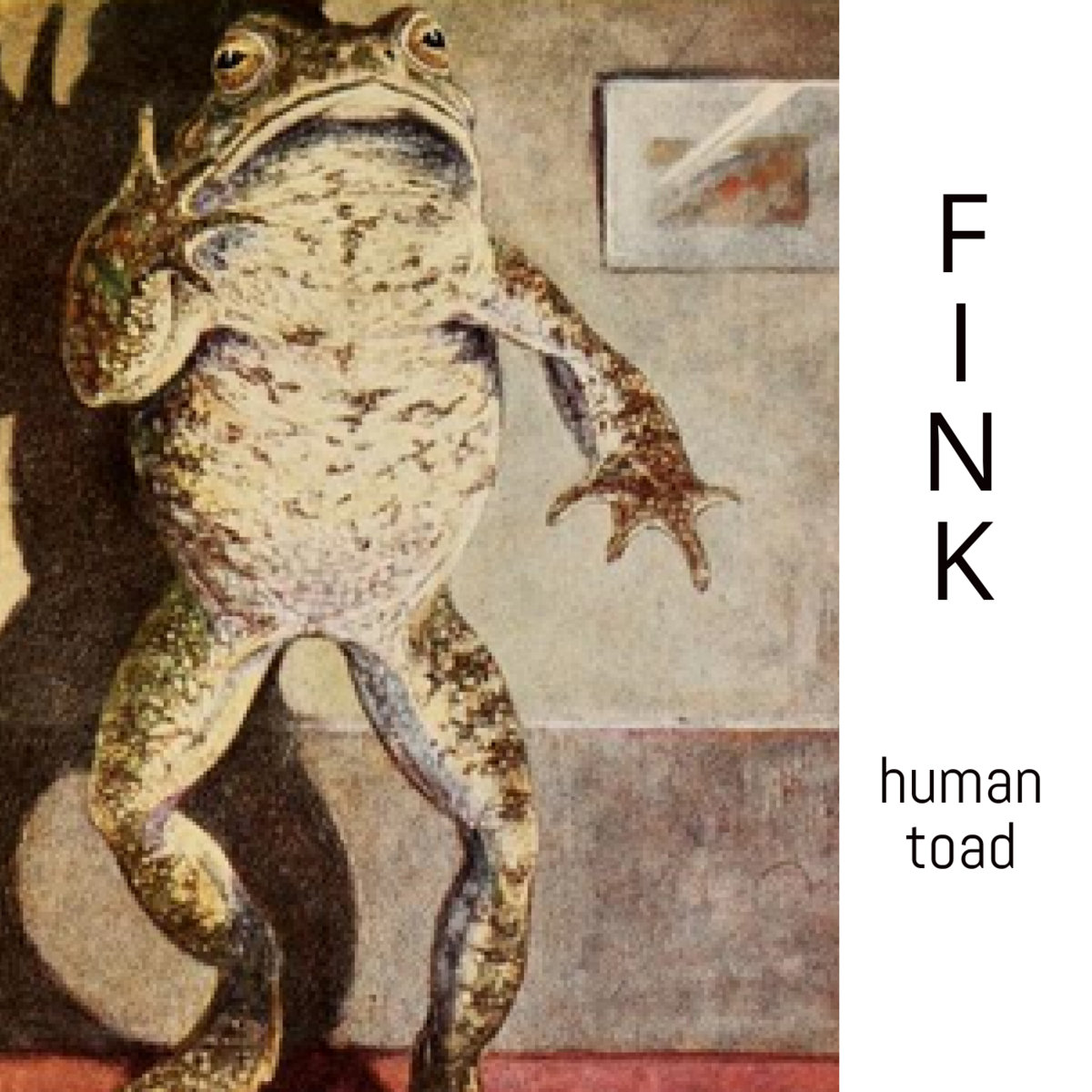 Fink | human toad