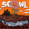 FSR58 - How Flowers Grow