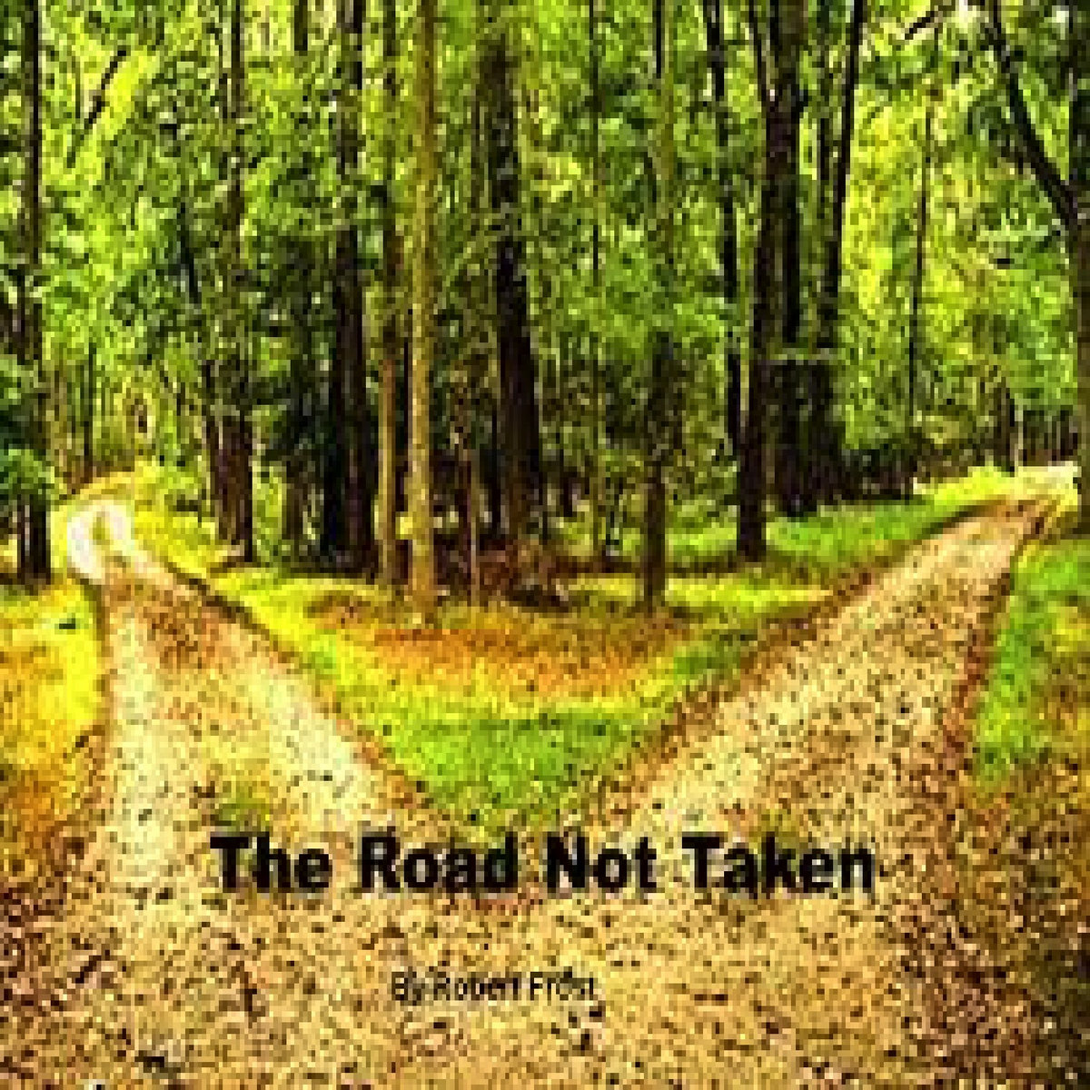 THE ROAD NOT TAKEN | Steve Shapiro