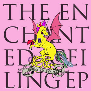 The Enchanted Ceiling cover