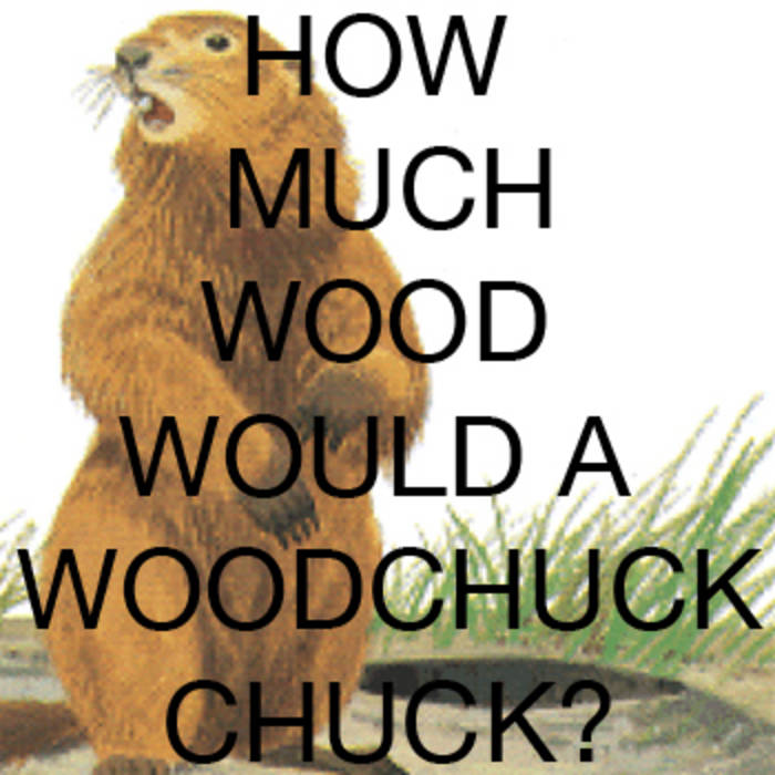 How Much Wood Would A Woodchuck Chuck? | Danielle Ate the Sandwich