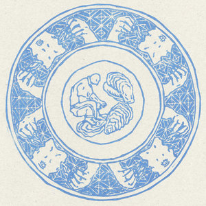 Porcelain cover