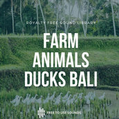 Animal Sound Effects Music & Artists | Bandcamp Animal Sound Effects Music & Artists | Bandcamp