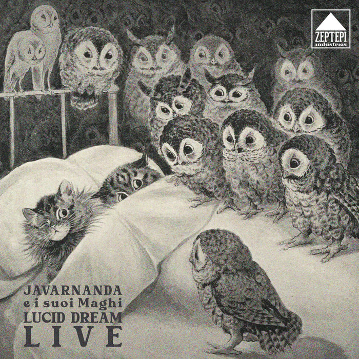 Lucid Dream (Live) | Javarnanda