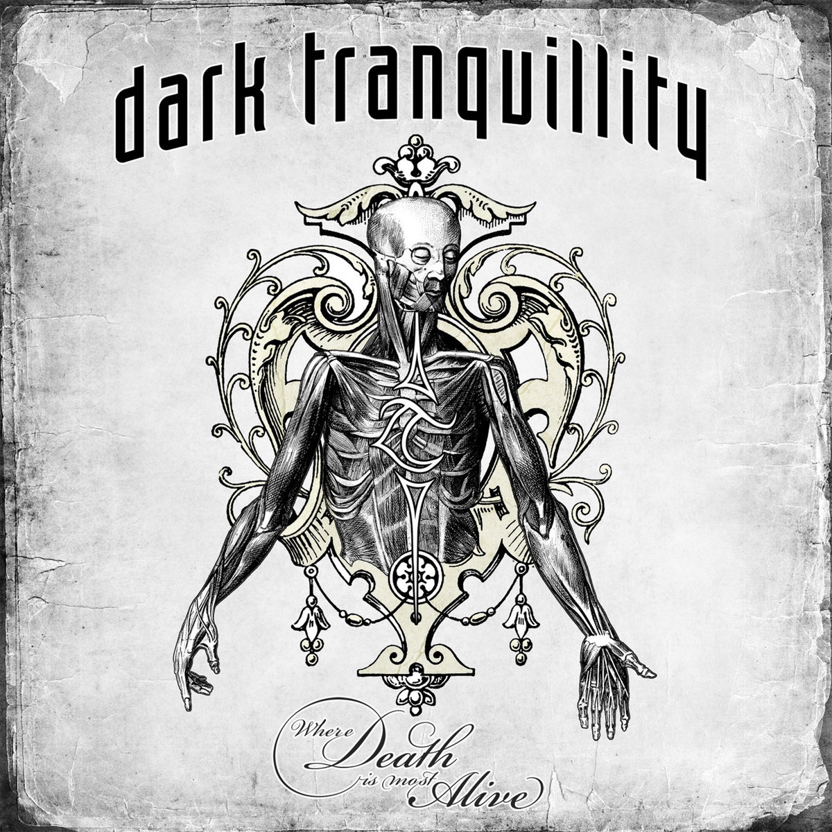Where Death Is Most Alive : Dark Tranquillity: Amazon.pl