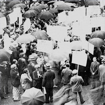 My Dust to Where Some Flowers Grow cover art