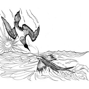 The Loon & The Flying FishAri Neufeld & Dom Fricot cover