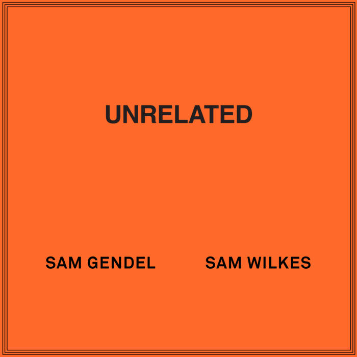 激レア!新品!sam wilkes『WILKES』レコード サムゲンデル UNRELATED | Sam Gendel & Sam Wilkes