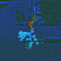 Micra — Coral Crush