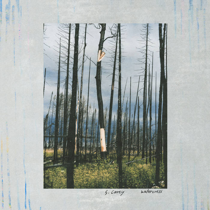 S. Carey - Watercress