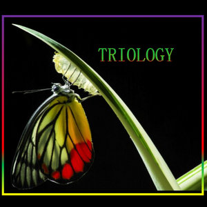 Triology — Debut (live concert recording from Radio Wroclaw Kultura)