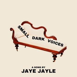 SMALL DARK VOICES cover