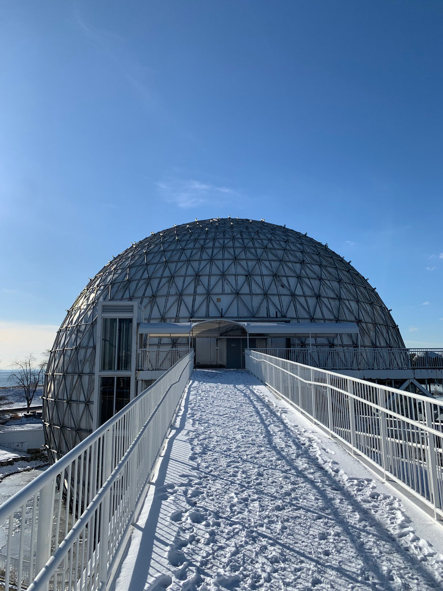 Who Is Special Delivery? Special Delivery