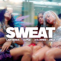 Lady Shaka — Sweat (feat. DJ PGZ, DoloRRes & Zaila)