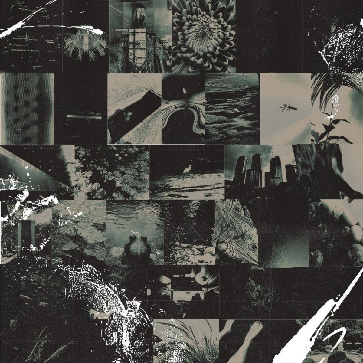 Various Artists - Vol. 01 | Perspex