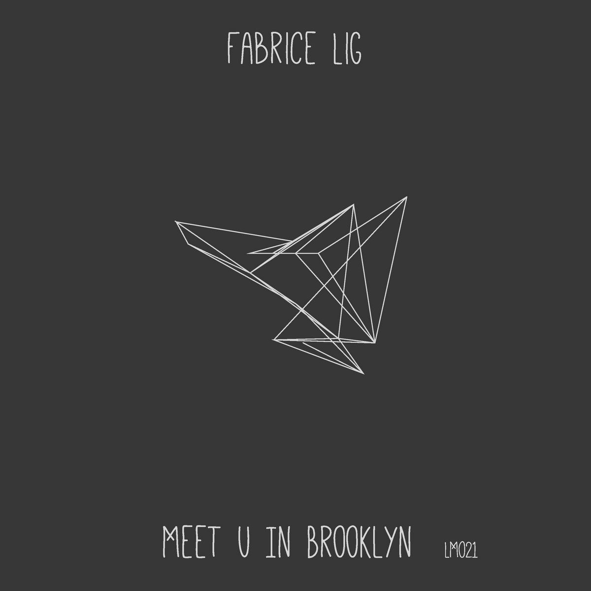 Meet U In Brooklyn - Lig Music 021