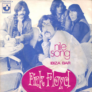 Nile Song (Pink Floyd) cover