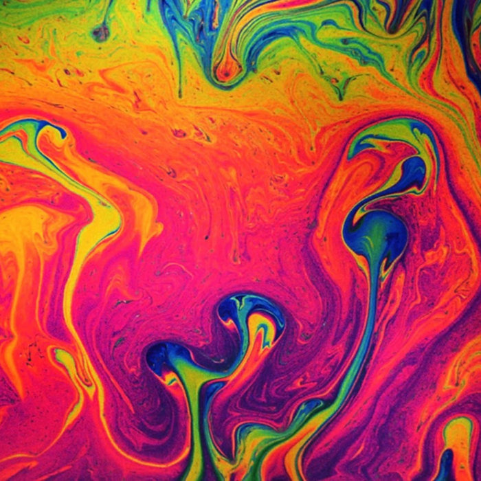 Havertown Music Compilation Volume 19 Out In The Woods Records