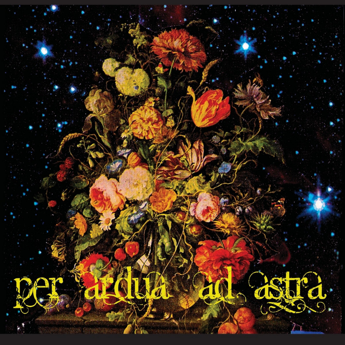 per ardua ad astra | Vienna Noise Choir / VNC